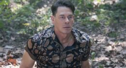 5 Ways Peacemaker Season 2 Sets Up James Gunn's DC Universe