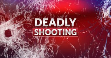A shooting near Houston suburb leaves two children dead and two others in critical condition