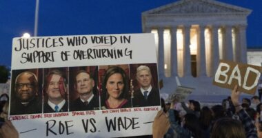 AG Bondi Appeals the Kavanaugh Assassination Sentence but That Is the Tip of the Judicial Iceberg