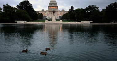 AP reader question: How might the federal shutdown affect the economy?