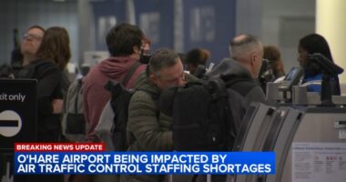 Air traffic controller shortage causes Chicago O'Hare delays as government shutdown continues