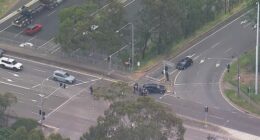 A high-view shot of the police operation in Sydney's south-west.