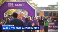 Alzheimer's walk Chicago: Thousands to participate in annual Walk to End Alzheimer's disease in Lincoln Park