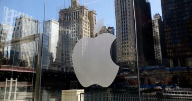 Apple and Google block apps that crowdsource ICE sightings. Some warn of chilling effects