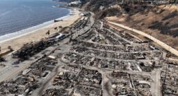 Arrest made in connection with Palisades Fire investigation in Los Angeles County, source says