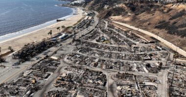 Arrest made in connection with Palisades Fire investigation in Los Angeles County, source says