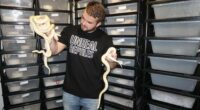Jake Thomas from Unreal Reptiles with a handful of snakes.