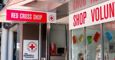 Aussies have $25b in unworn clothing. They can donate it without leaving home
