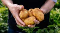 Australians are being hit with a potato shortage after growers experienced what they said has been one of the toughest seasons in a decade. ﻿