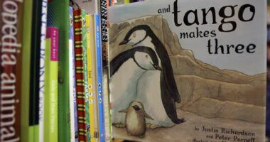 Authors appeal ‘Tango Makes Three’ book ban ruling in federal court