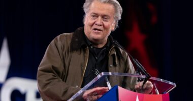 Bannon warns New Yorkers against Zohran Mamdani