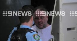 Artemios Mintzas, 60, allegedly peppered a busy Sydney shopping strip with bullets on Sunday night.