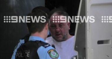 Artemios Mintzas, 60, allegedly peppered a busy Sydney shopping strip with bullets on Sunday night.