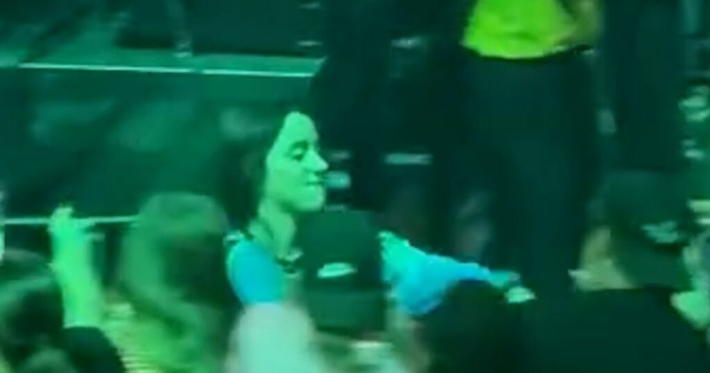 Billie Eilish violently pulled into crowd at concert