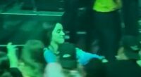 Billie Eilish violently pulled into crowd at concert