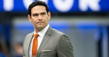 Bizarre new details emerge of Mark Sanchez's 'erratic' behavior in alley before he was stabbed and arrested