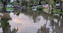 Building developments blamed for flooding in Edgewater neighborhood