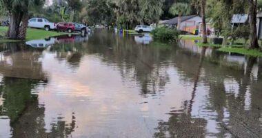 Building developments blamed for flooding in Edgewater neighborhood