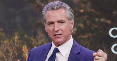 California's biggest school district revolts against Newsom's woke trans policies in sports: 'Girls are girls'