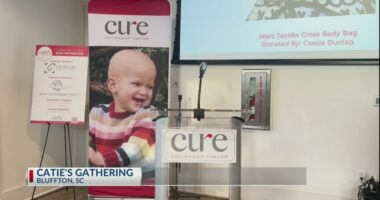 Catie's Cathering holds cure childhood cancer fundraiser in South Carolina