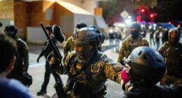 Chicago and Illinois sue to stop Trump’s Guard deployment plan after Portland ruling