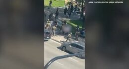 Chicago immigration raids: Family 'unlawfully' detained by ICE at Millennium Park now separated, court filing argues