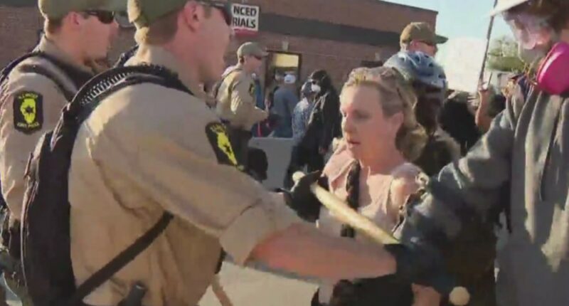 Chicago protesters cry foul as Illinois police intercede at ICE site
