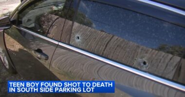 Chicago shooting kills teen boy on South Prairie Avenue in Washington Park: Cook County Medical Examiner's Office