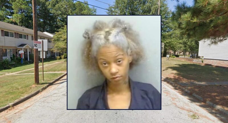 Child died with head stuck in car window, mom charged: Cops