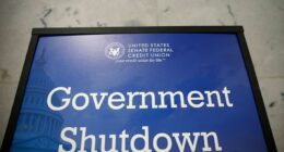 Congress gets paid during a government shutdown, others have to wait
