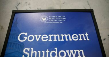 Congress gets paid during a government shutdown, others have to wait