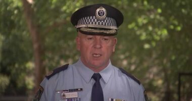 NSW Police Assistant Commissioner Peter McKenna