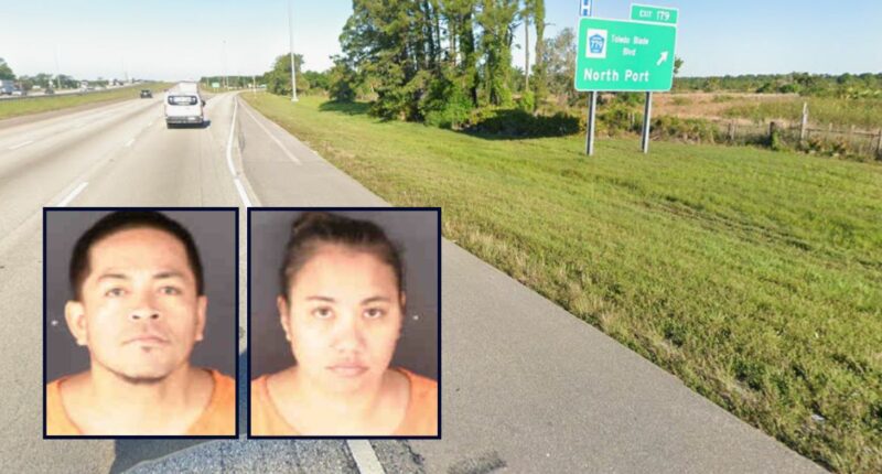 Couple left minor boy on side of highway with guns: Cops