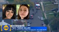'Coward' teen allegedly kills girl he's been stalking, pal