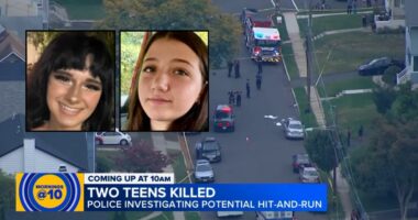 'Coward' teen allegedly kills girl he's been stalking, pal