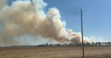 Crews respond to Philo field fire with heavy smoke Sunday afternoon