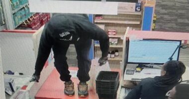 Crime Stoppers seeking tips on CVS theft in Springfield
