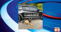 Danville K-9 gets body armor donation from nonprofit