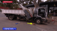 Dashcam footage captures truck taking out cars, power lines after brake failure
