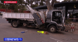 Dashcam footage captures truck taking out cars, power lines after brake failure
