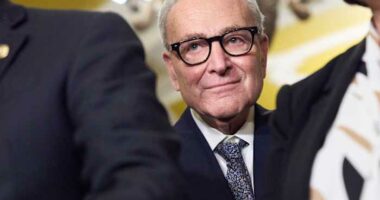 Democrats embrace a shutdown fight in a rare moment of unity against Trump