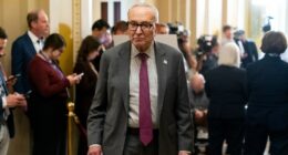 Democrats win momentum over GOP in shutdown fight