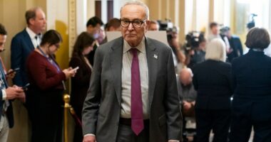 Democrats win momentum over GOP in shutdown fight