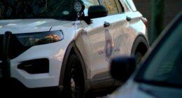 Denver officer fired after sending texts to victim, downloading swimwear photos