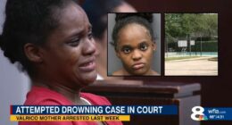 Details emerge about mom who tried to drown her 3 kids: DA