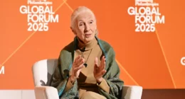 Dr. Jane Goodall Shaded Elon Musk In The Last Interview She Gave Before her Death