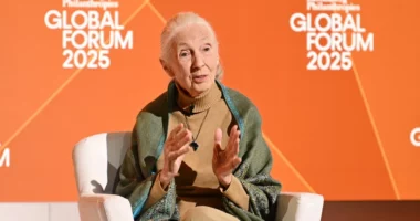 Dr. Jane Goodall Shaded Elon Musk In The Last Interview She Gave Before her Death