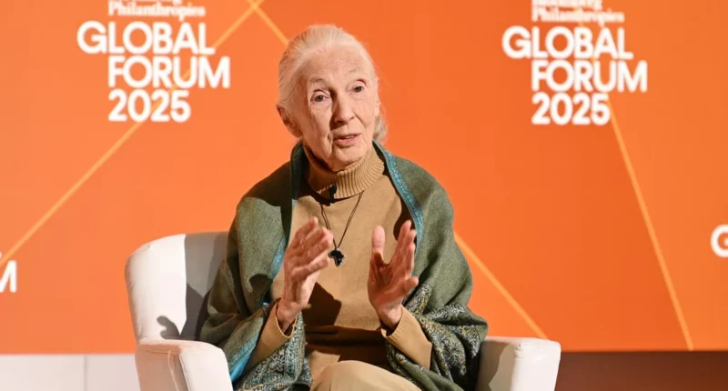 Dr. Jane Goodall Shaded Elon Musk In The Last Interview She Gave Before her Death