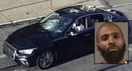 Driver of car that killed grandma turned himself in: Police