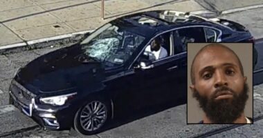 Driver of car that killed grandma turned himself in: Police